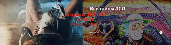 гидра Покачи
