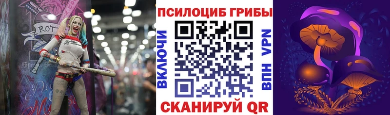 Галлюциногенные грибы мухоморы  гидра ТОР  Демидов  купить  